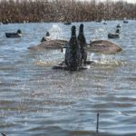 2012_southern_illinois_duck_hunt4